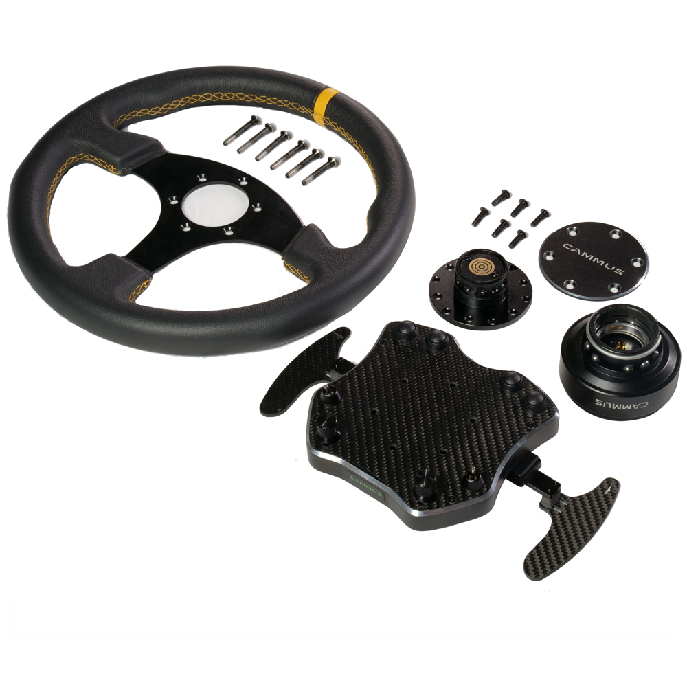 GT1 Steering Wheel
