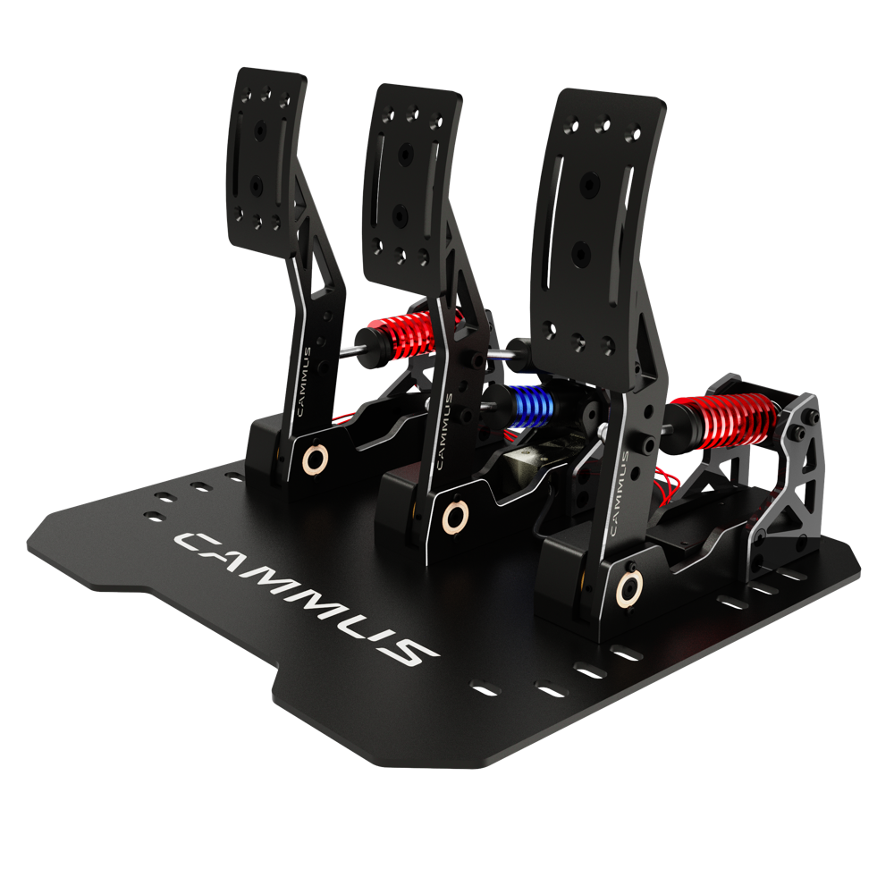 LC100 Pedals