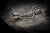 FG FGX 4" Turbo Back Exhaust - Sedan