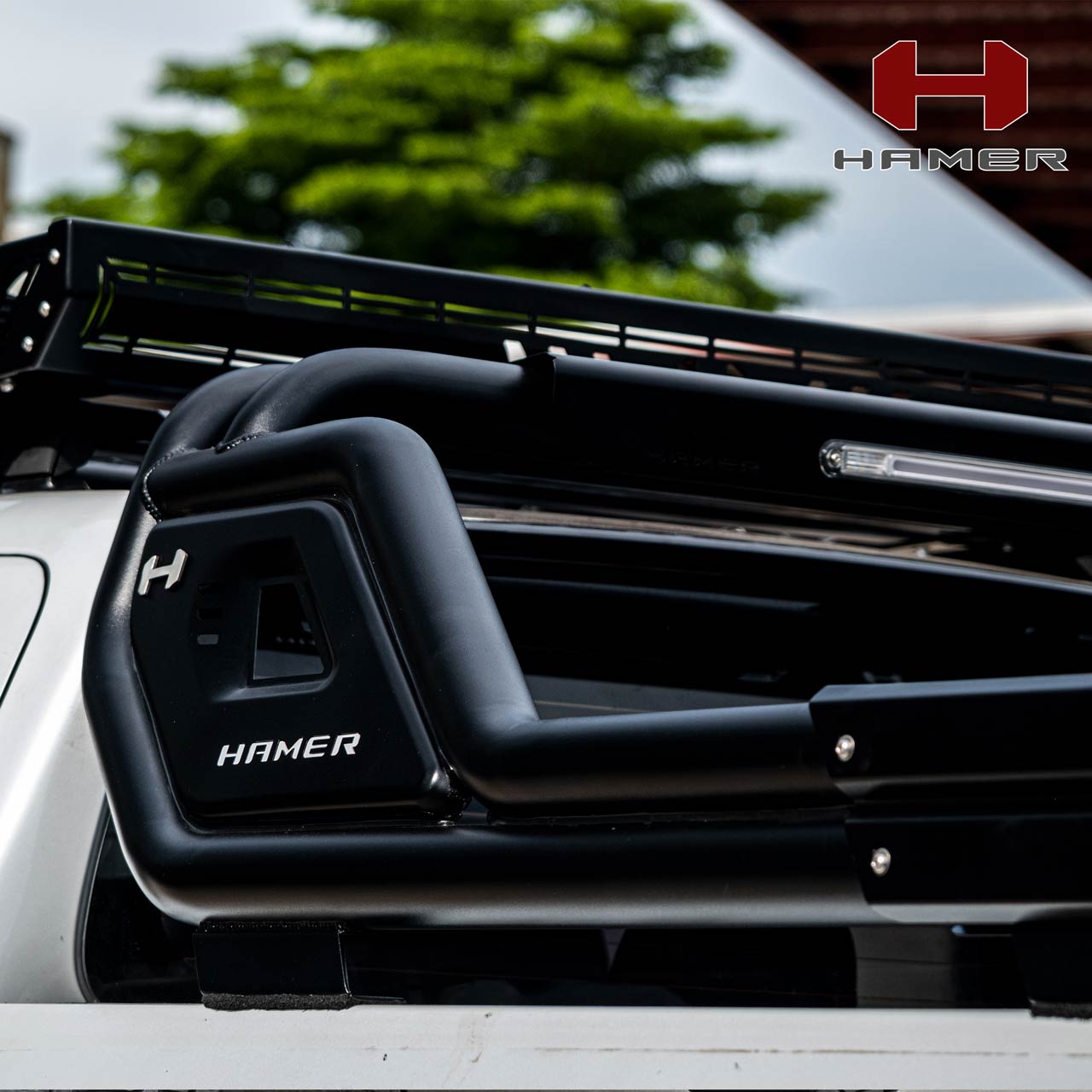 Night Fury Sports Bar